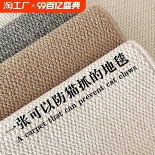 客厅卧室家用榻榻米地毯茶几毯仿羊毛米白色飘窗地垫大面积仿剑麻