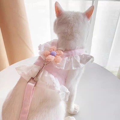 可爱猫咪牵引绳可调节防挣脱胸背带背心式猫绳子小猫幼猫遛猫