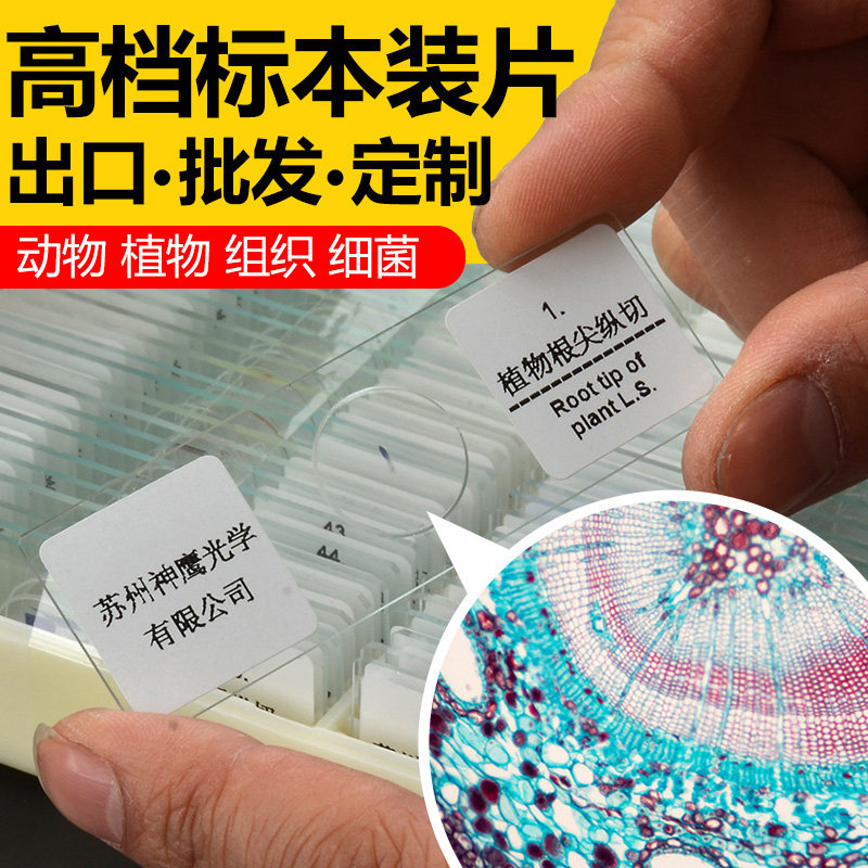 萨伽生物光学显微镜观察标切片装动物细胞样载玻片儿童科学学生实