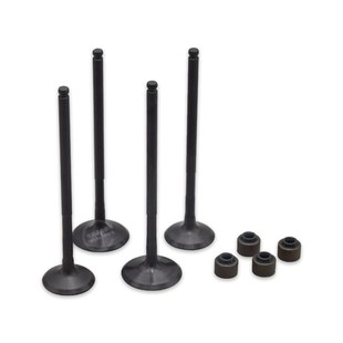 无极 隆鑫L9 L发动气门油封