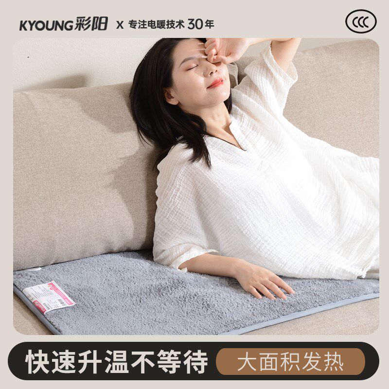 彩阳沙发电热毯床小尺寸客厅保暖加热坐垫办公室沙发垫子
