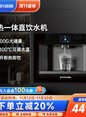 政府补滨浦丽嵌入式直饮水内嵌管线冰热净饮一体