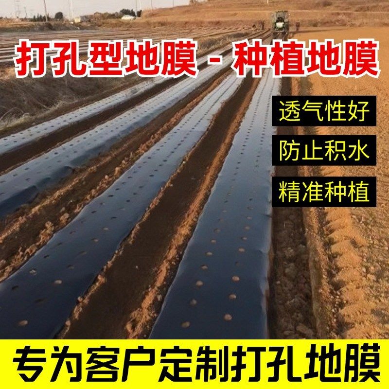 打孔黑地膜农用膜玉米蔬菜药材莴笋羊肚菌塑料圆孔保温除草膜,农机/农具/农膜,农用薄膜,淘宝优惠券,粉丝福利购,淘宝优惠卷