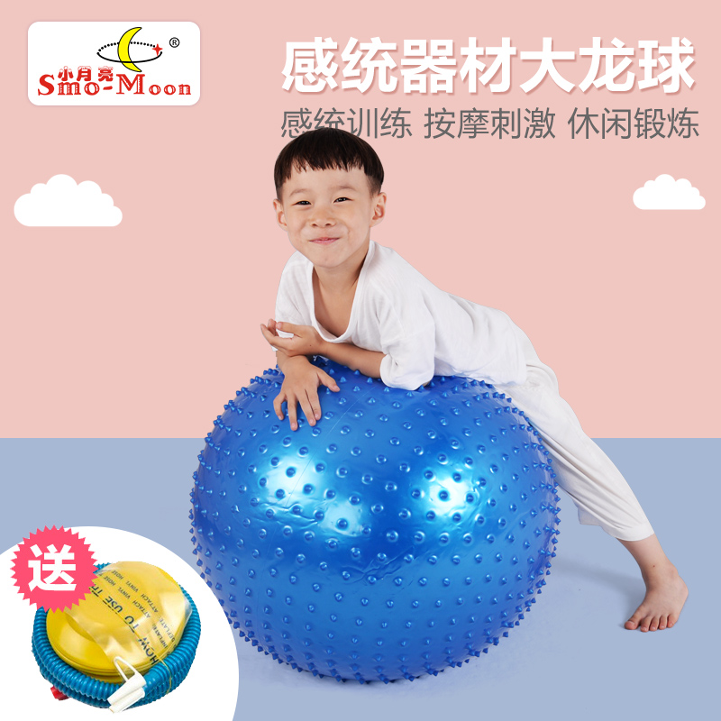 幼儿园感统训练器材大龙球儿童早教健身球家用瑜伽球按摩球触觉球