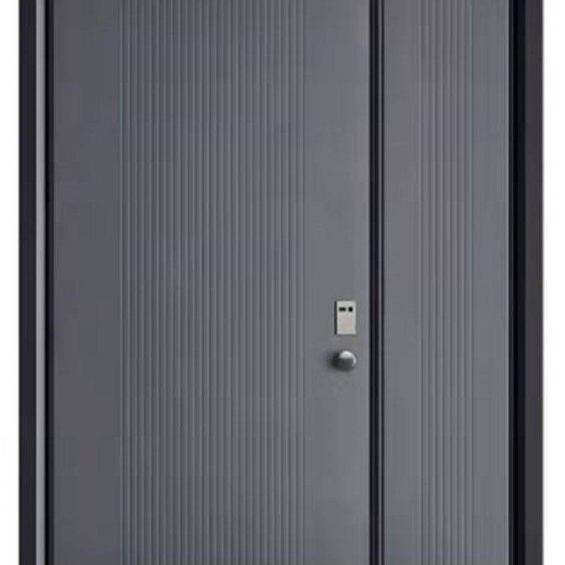 防盗门 进户门 铸铝门 装甲门 私人定制门 前铝后木,全屋定制,智能防盗门,淘宝优惠券,粉丝福利购,淘宝优惠卷