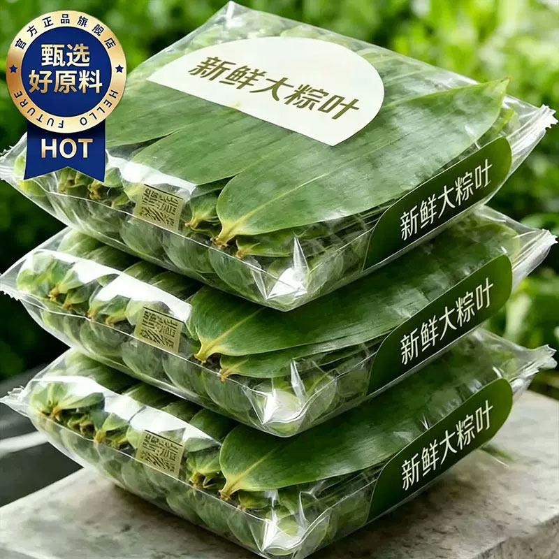 粽叶新鲜采摘端午节家用包粽子专用芦苇叶特大号宽粽叶干官方旗舰
