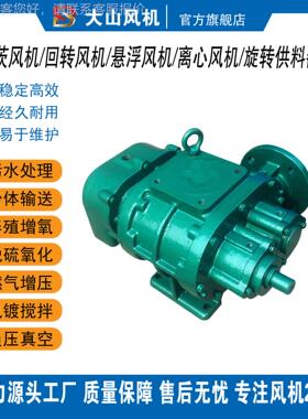 罗茨风机生产维修SSR NFSR JYSR SR RSR HSR954 DXS YSR RASR LZS