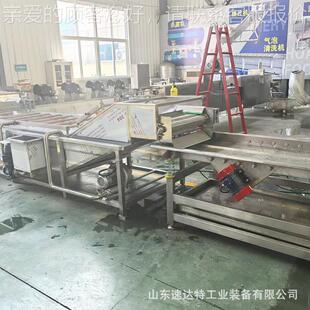 干流菜浸泡清水线蔬菜洗气泡清洗机梅泡菜酱MLV菜加工生产线