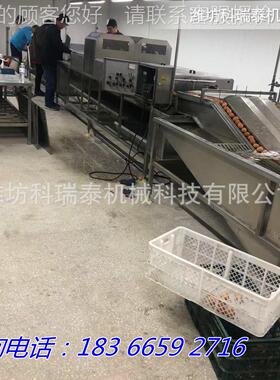小型鸡鸭加洗蛋烘干流水线 市保洁蛋设备超 蛋TKZ品清洗线按需工