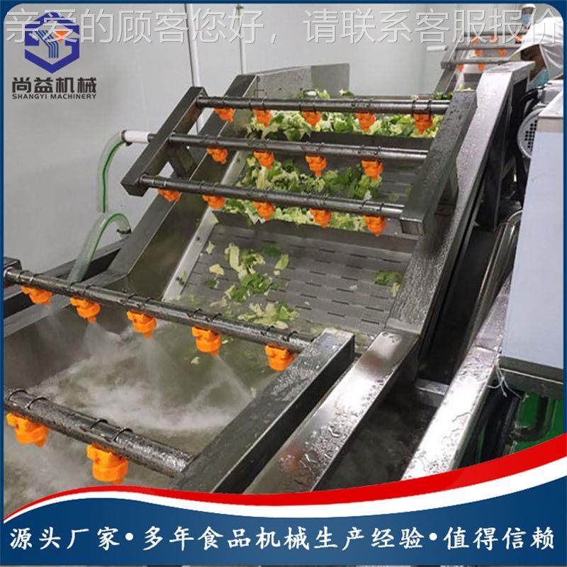 供应设万年气泡洗机 橄榄菜清洗SY-QX500备 蔬菜清洗清加工流青水,清洗/食品/商业设备,果蔬加工设备,淘宝优惠券,粉丝福利购,淘宝优惠卷