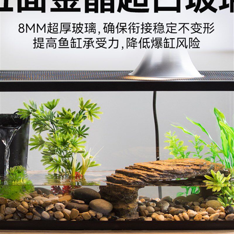 金晶五线超白鱼缸大型鱼缸客厅造景水草缸乌龟缸水族玻璃裸缸定制