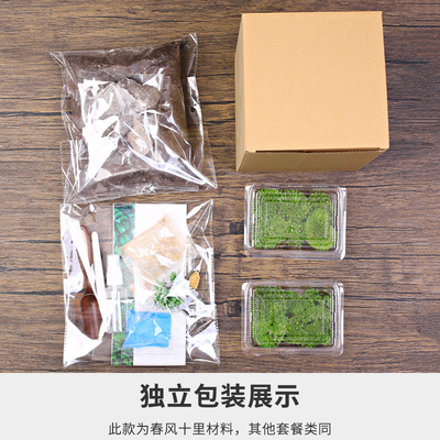 大水滴瓶苔藓植物盆栽微景观生态瓶室内桌面趣味微型创意DIY绿植
