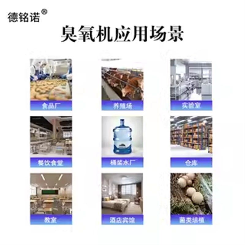 臭氧发生器空间消毒水处理家用消毒食品厂冷库汽车除味