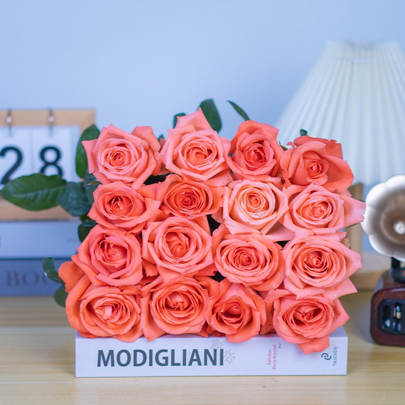 【520鲜花】粉玫瑰+香槟玫瑰+香水百合+康乃馨+配草1扎 云南直发