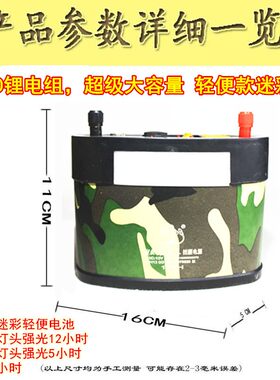P900头灯外接分体电瓶九9核超亮P1000强光钓鱼灯P90灯头充电12V
