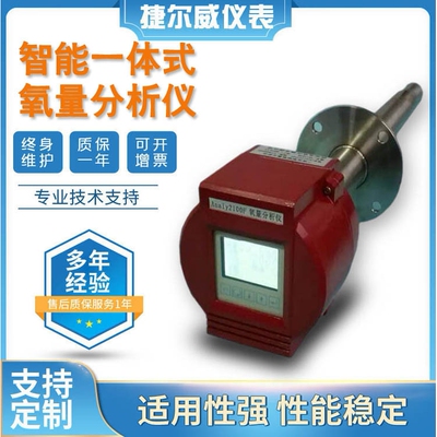 一体式氧化锆氧量分析仪氧化锆探头氧量计锅炉尾气检测氧气检测仪