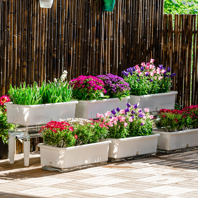 室内阳台种菜专用盆长方形自吸水懒人种花种蔬菜箱草莓特大号塑料