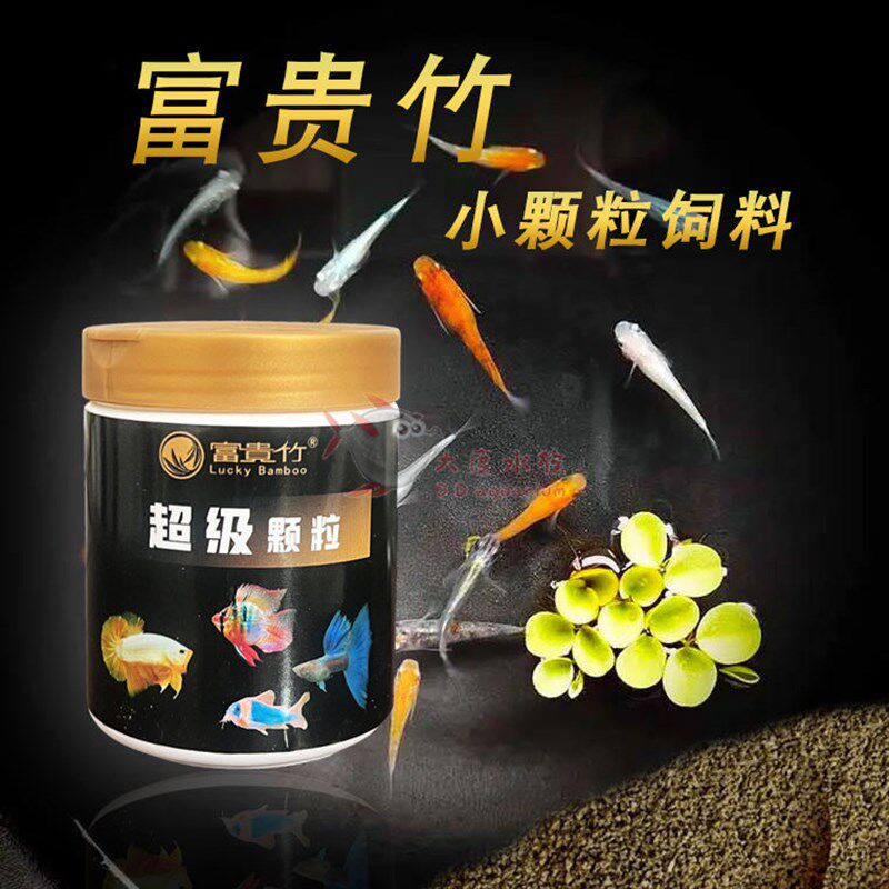 富贵竹热带小型鱼饲料颗粒灯科鱼 孔雀 红剑 鱼苗 红绿灯鱼料