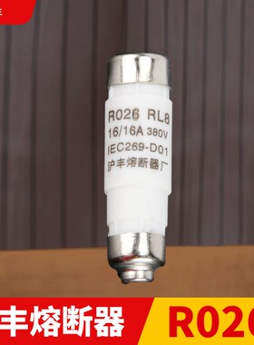 沪丰熔断器R026 RL8B 2A 4A 6A 10A 16A 陶瓷保险丝熔芯RO26 D01
