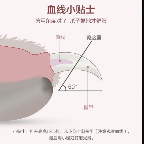 mioo宠物指甲剪猫狗通用led带灯猫咪小型犬手动修甲剪带锉刀