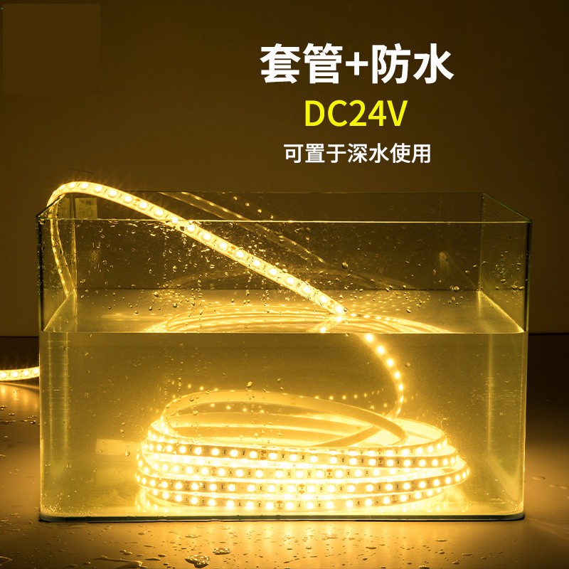 24v水下鱼池鱼缸灯led灯水底景观硅胶套管泡水软灯条灌胶防水灯带