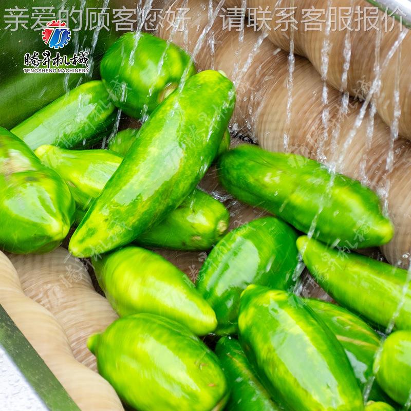 商用土皮脱机 红皮薯ZHC莲藕去皮机豆 毛去辊芋头去皮清洗机