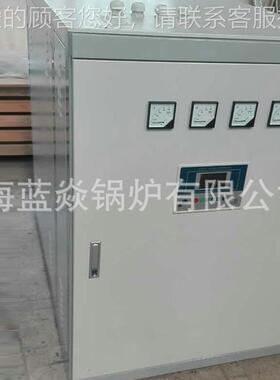 CWDR0.72厂家生产供电热水锅炉小型暖热水锅炉显液电晶示电热水锅