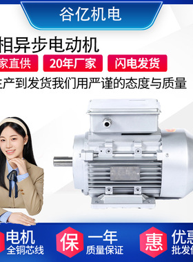 YS-100L2-4-3KW铝壳电机机械设备用三相异步电动机质保一年