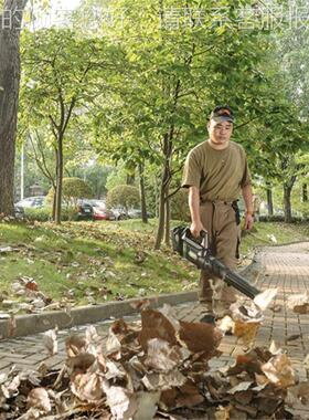 V无线吹尘 PBL58机05吹风T机 大功率SBQ工业鼓风机58 吹叶机