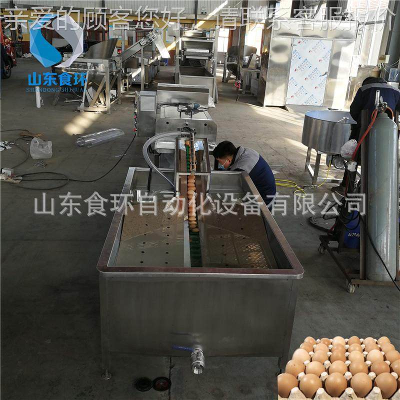 鸡蛋清洗机洗鸡蛋鸭蛋泥蛋清洗设备商 洗蛋机价格 小LPZ型用蛋 机,农机/农具/农膜,农用防护器具,淘宝优惠券,粉丝福利购,淘宝优惠卷