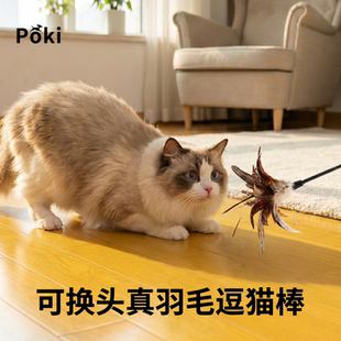 可换头逗猫棒猫咪玩具耐咬猫咪互动真羽毛逗猫棒带毛球逗猫玩具