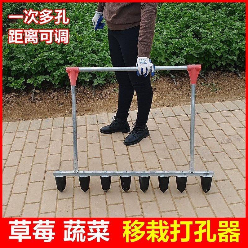 草莓种植打窝神器栽苗器打眼打洞机农用打孔器育苗盘蔬菜定植工具,农机/农具/农膜,耕种机械/微耕机/开沟机,淘宝优惠券,粉丝福利购,淘宝优惠卷