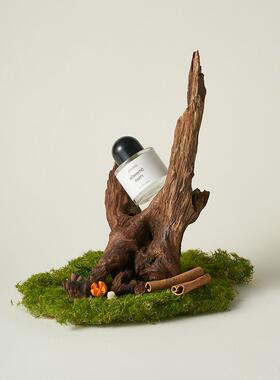 天然沉木造景 枯木拍照道具树枝木头装饰ins静物摄影陈列摆件干花