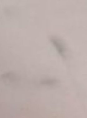 印度 维京VELJAN叶片泵VT7QECY-062-020-1R00-A1-M0-IM7899