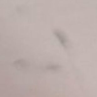 020 062 1R00 IM7899 印度 维京VELJAN叶片泵VT7QECY