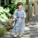 男童春秋款 男孩宋制长袍唐装 古风汉服2025新款 儿童中国风国学古装