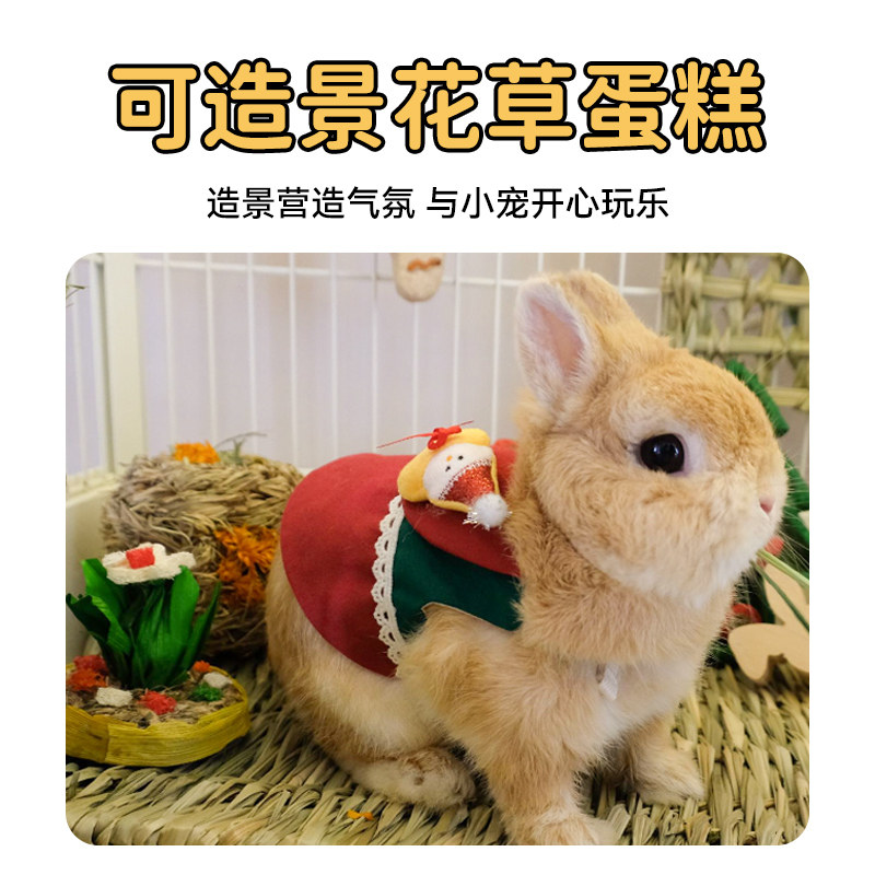 UMI磨牙花草蛋糕兔兔啃咬小零食粗纤维健康小宠装饰玩具豚鼠兔子,宠物/宠物食品及用品,兔兔其他,淘宝优惠券,粉丝福利购,淘宝优惠卷