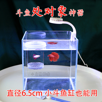 对鱼罐泰国斗鱼繁殖罐对鱼漂浮罐小缸可用缸内自漂浮防互斗对视