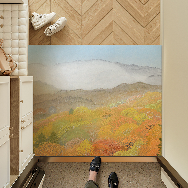 暖藻 野地美树子家用进门口耐脏地毯入户门地垫pvc可裁剪免洗脚垫