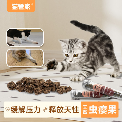 猫管家猫咪虫瘿果玩具木天蓼磨牙棒猫零食颗粒洁猫咪玩具自嗨解闷