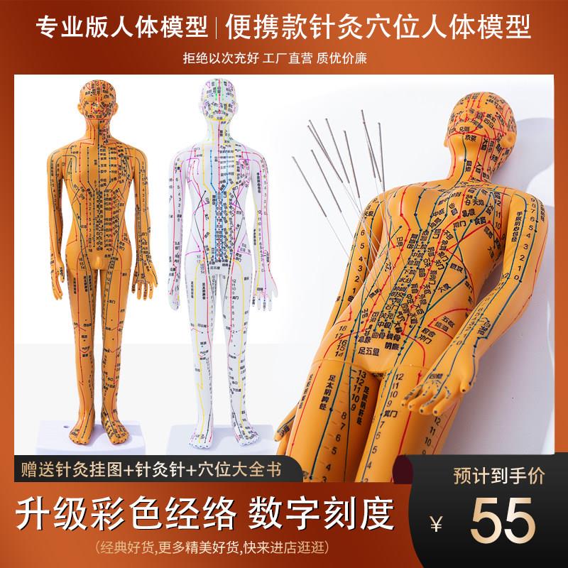 政河便携款针灸穴位人体模型人35cm中医小皮人十二经络铜人图全身