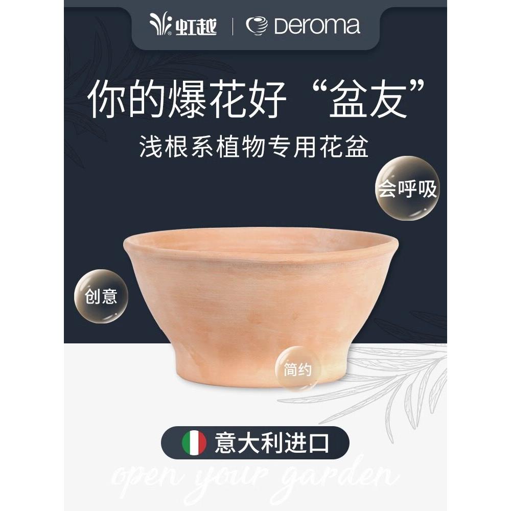 虹越帝罗马进口丽莎碗型花盆中钵红陶土球根种植透气盆家用植物