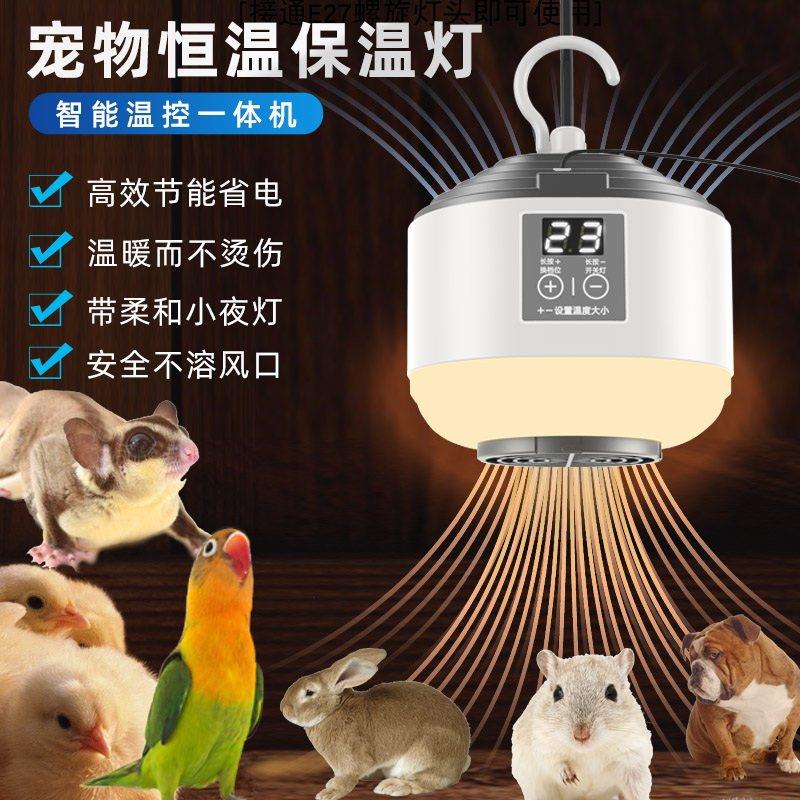 宠物鹦鹉保暖灯仓鼠刺猬蜜袋鼯过冬智能温控器恒温防烫加热保温灯
