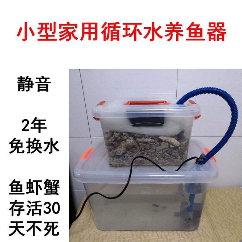 小型鱼池净化循环水设备家庭小鱼缸养鱼自动循环水系统养鱼神器