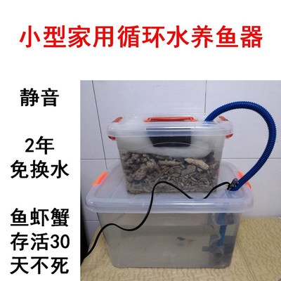 小型鱼池净化循环水设备家庭小鱼缸养鱼自动循环水系统养鱼神器