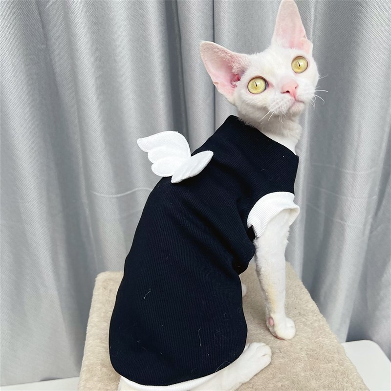 斯芬克斯无毛猫德文衣服矮脚背心天使翅膀纯棉弹力打底衫薄款春秋图片