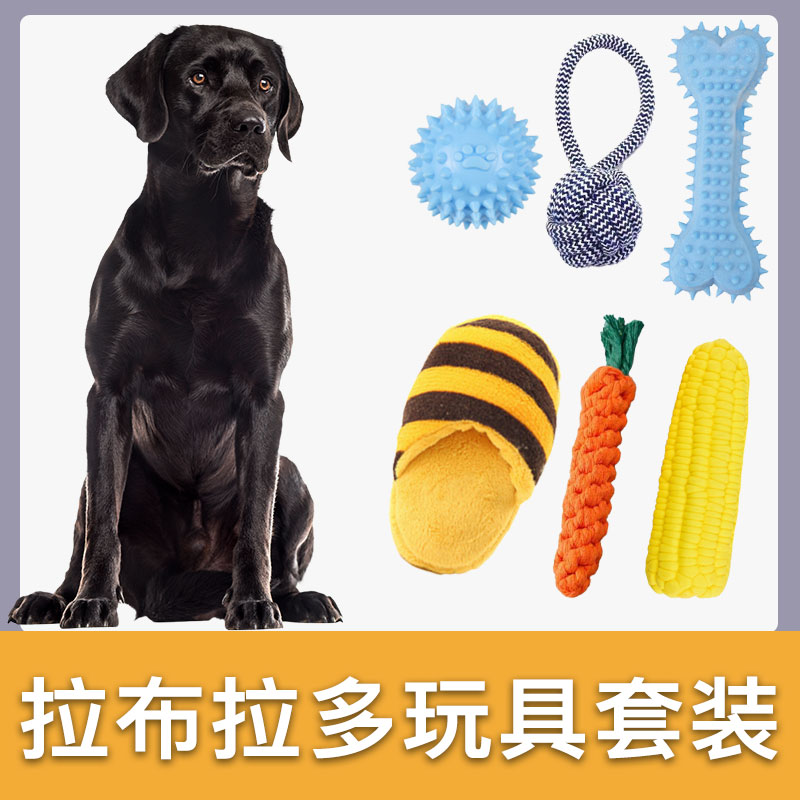 黑拉布拉多玩具套装耐咬发声宠物狗磨牙玩具小型犬解闷幼犬用品