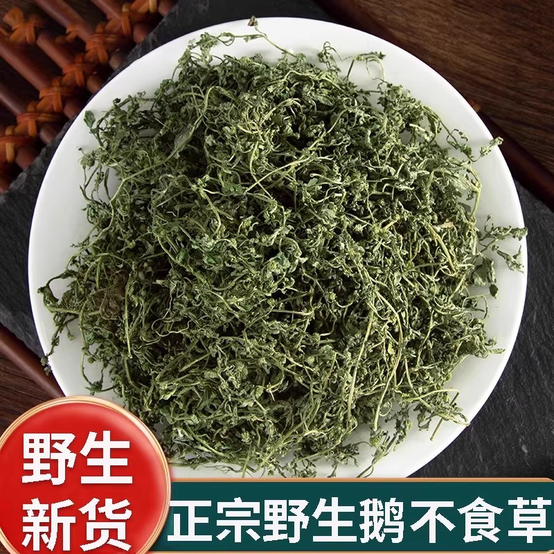 鹅不食草中药材500g野生鹅不吃草 饿不食草 鹅不食草粉另售苍耳子