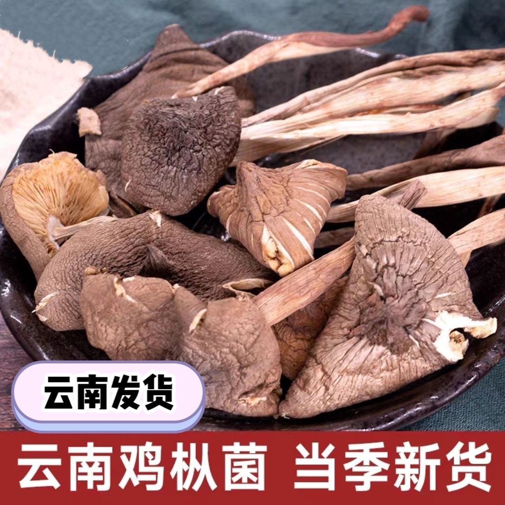 2025黑皮鸡枞菌干货特级野