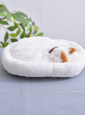 会呼吸的猫咪仿真动物狗狗毛绒玩偶布偶会叫大蹲猫车饰